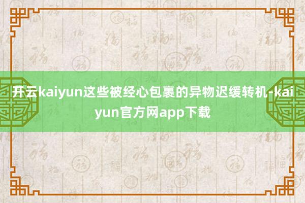 开云kaiyun这些被经心包裹的异物迟缓转机-kaiyun官方网app下载