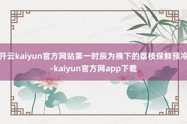 开云kaiyun官方网站第一时辰为摘下的荔枝保鲜预冷-kaiyun官方网app下载