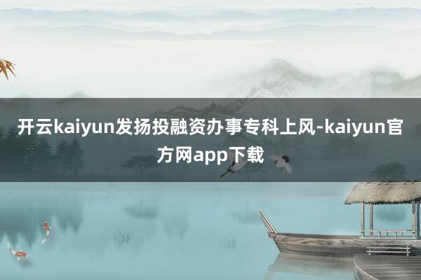 开云kaiyun发扬投融资办事专科上风-kaiyun官方网app下载