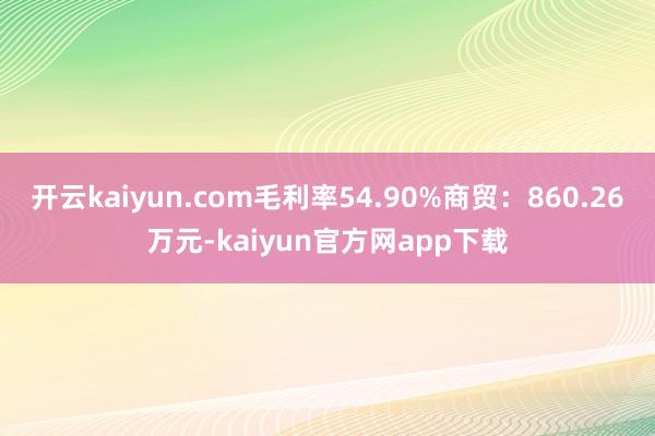 开云kaiyun.com毛利率54.90%商贸：860.26万元-kaiyun官方网app下载